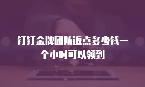钉钉金牌团队返点多少钱一个小时可以领到