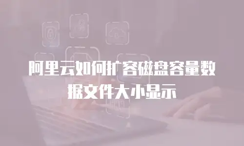 阿里云如何扩容磁盘容量数据文件大小显示
