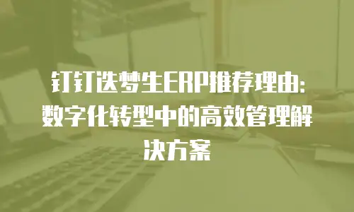 钉钉迭梦生ERP推荐理由：数字化转型中的高效管理解决方案