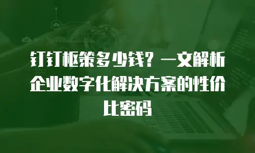 钉钉枢策多少钱？一文解析企业数字化解决方案的性价比密码