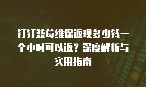 钉钉蓝莓维保返现多少钱一个小时可以返？深度解析与实用指南