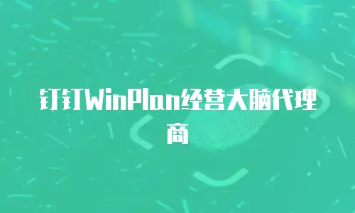钉钉WinPlan经营大脑代理商