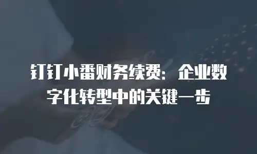 钉钉小番财务续费：企业数字化转型中的关键一步