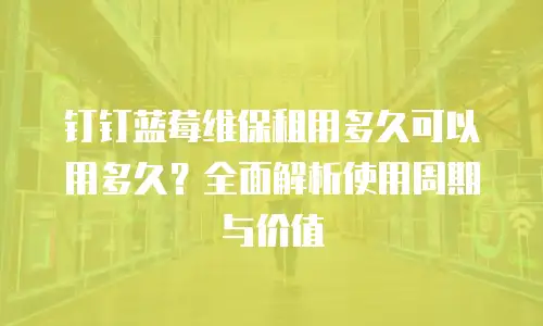钉钉蓝莓维保租用多久可以用多久？全面解析使用周期与价值