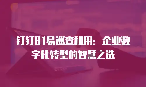 钉钉B1易巡查租用：企业数字化转型的智慧之选