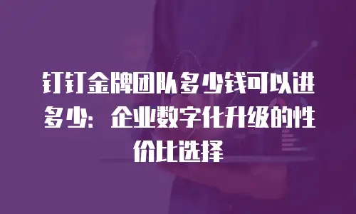 钉钉金牌团队多少钱可以进多少：企业数字化升级的性价比选择