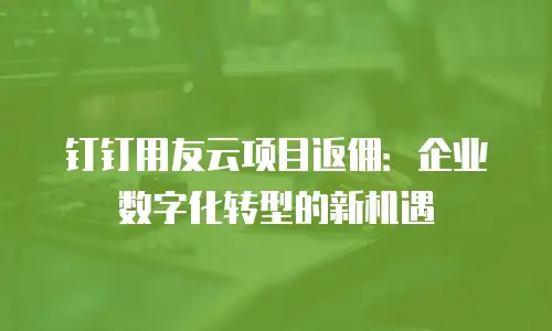 钉钉用友云项目返佣：企业数字化转型的新机遇