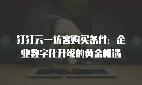 钉钉云一访客购买条件：企业数字化升级的黄金机遇