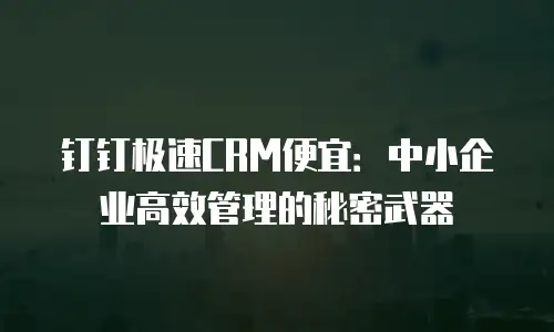 钉钉极速CRM便宜：中小企业高效管理的秘密武器