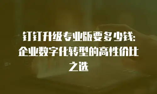 钉钉升级专业版要多少钱：企业数字化转型的高性价比之选