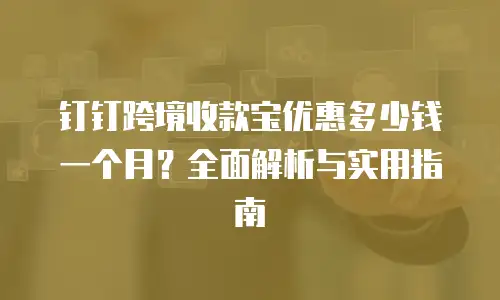 钉钉跨境收款宝优惠多少钱一个月？全面解析与实用指南