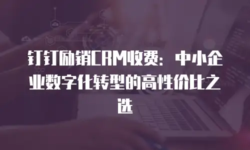 钉钉励销CRM收费：中小企业数字化转型的高性价比之选