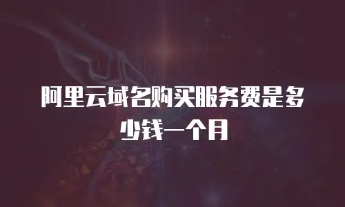 阿里云域名购买服务费是多少钱一个月