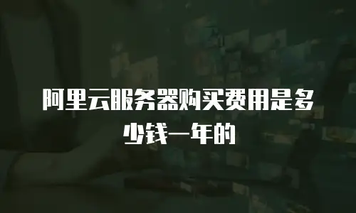 阿里云服务器购买费用是多少钱一年的