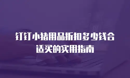 钉钉小猪用品折扣多少钱合适买的实用指南