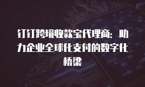 钉钉跨境收款宝代理商：助力企业全球化支付的数字化桥梁
