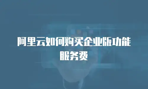 阿里云如何购买企业版功能服务费
