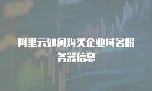 阿里云如何购买企业域名服务器信息