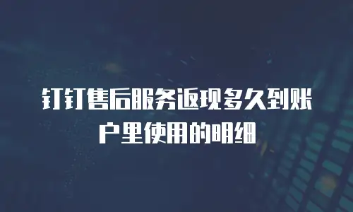 钉钉售后服务返现多久到账户里使用的明细