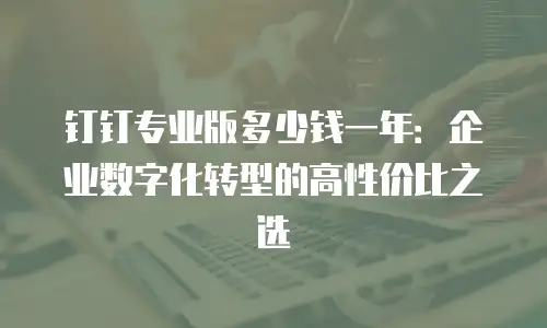 钉钉专业版多少钱一年：企业数字化转型的高性价比之选