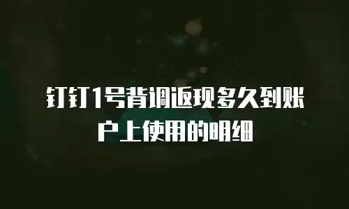 钉钉1号背调返现多久到账户上使用的明细