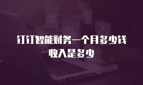 钉钉智能财务一个月多少钱收入是多少