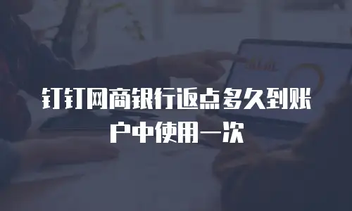 钉钉网商银行返点多久到账户中使用一次