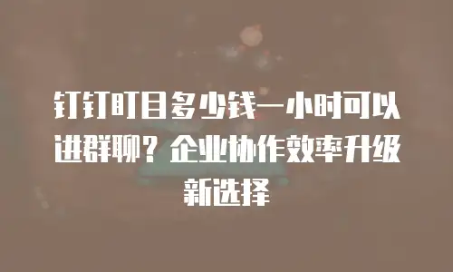 钉钉盯目多少钱一小时可以进群聊？企业协作效率升级新选择