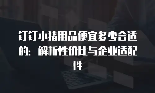 钉钉小猪用品便宜多少合适的：解析性价比与企业适配性