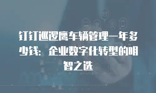 钉钉巡逻鹰车辆管理一年多少钱：企业数字化转型的明智之选