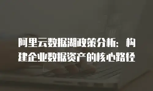 阿里云数据湖政策分析：构建企业数据资产的核心路径