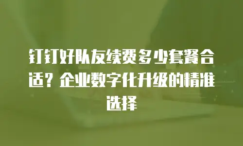 钉钉好队友续费多少套餐合适？企业数字化升级的精准选择