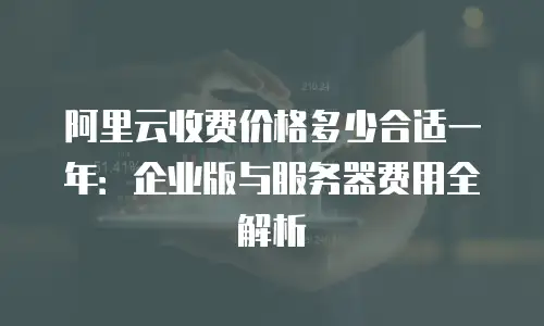 阿里云收费价格多少合适一年：企业版与服务器费用全解析