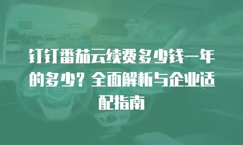 钉钉番茄云续费多少钱一年的多少？全面解析与企业适配指南