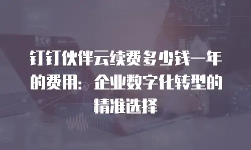 钉钉伙伴云续费多少钱一年的费用：企业数字化转型的精准选择