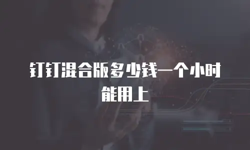 钉钉混合版多少钱一个小时能用上