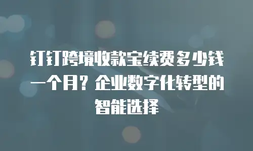 钉钉跨境收款宝续费多少钱一个月？企业数字化转型的智能选择