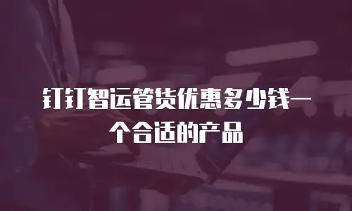 钉钉智运管货优惠多少钱一个合适的产品