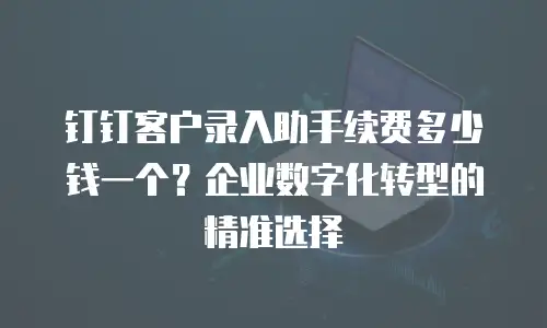 钉钉客户录入助手续费多少钱一个？企业数字化转型的精准选择