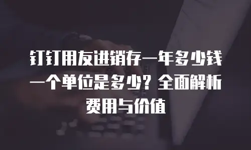 钉钉用友进销存一年多少钱一个单位是多少？全面解析费用与价值
