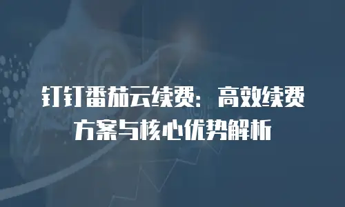 钉钉番茄云续费：高效续费方案与核心优势解析
