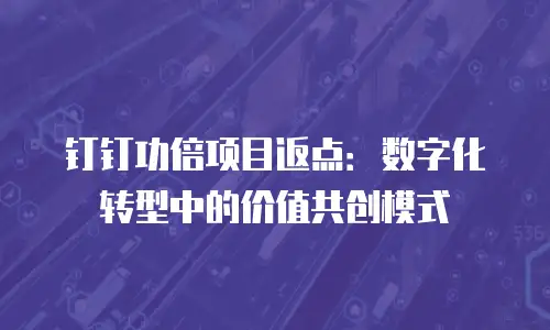 钉钉功倍项目返点：数字化转型中的价值共创模式