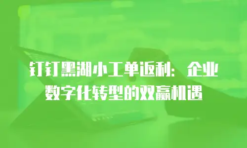 钉钉黑湖小工单返利：企业数字化转型的双赢机遇