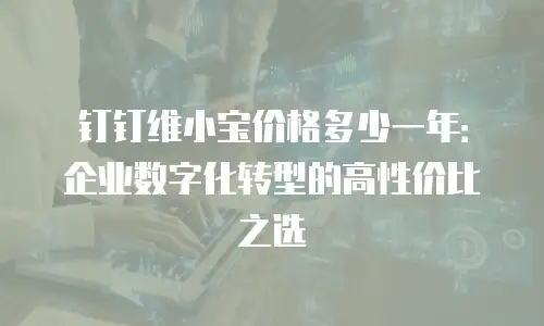 钉钉维小宝价格多少一年：企业数字化转型的高性价比之选