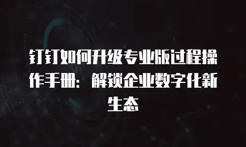 钉钉如何升级专业版过程操作手册：解锁企业数字化新生态