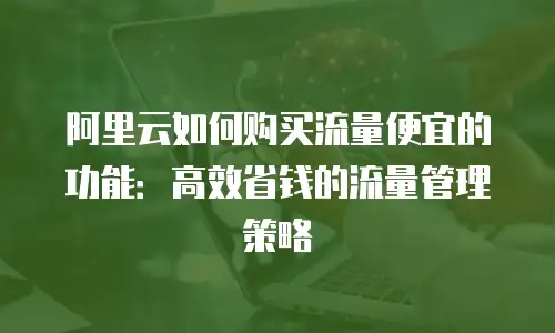 阿里云如何购买流量便宜的功能：高效省钱的流量管理策略