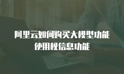 阿里云如何购买大模型功能使用权信息功能