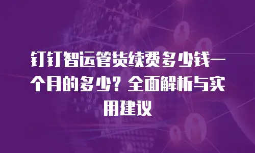 钉钉智运管货续费多少钱一个月的多少？全面解析与实用建议