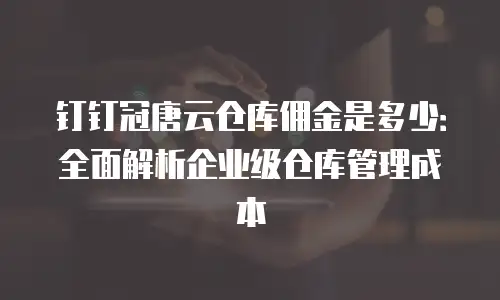 钉钉冠唐云仓库佣金是多少：全面解析企业级仓库管理成本