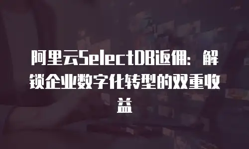 阿里云SelectDB返佣：解锁企业数字化转型的双重收益